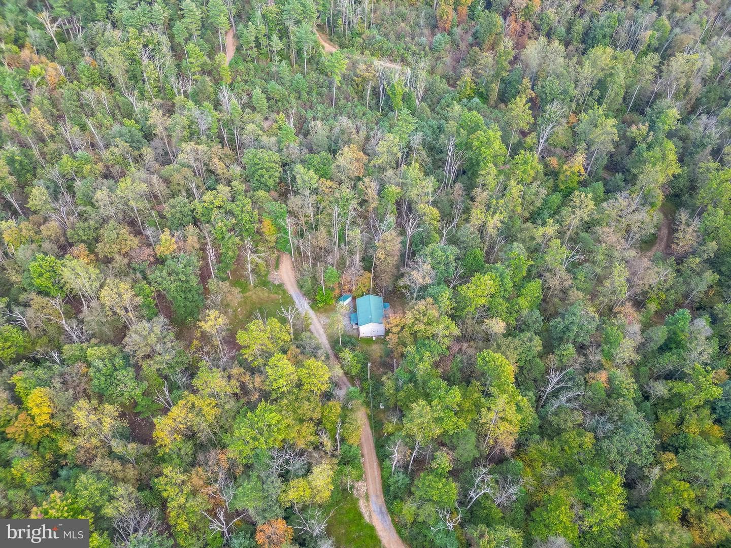 579 Mossy Oak Lane photo 3