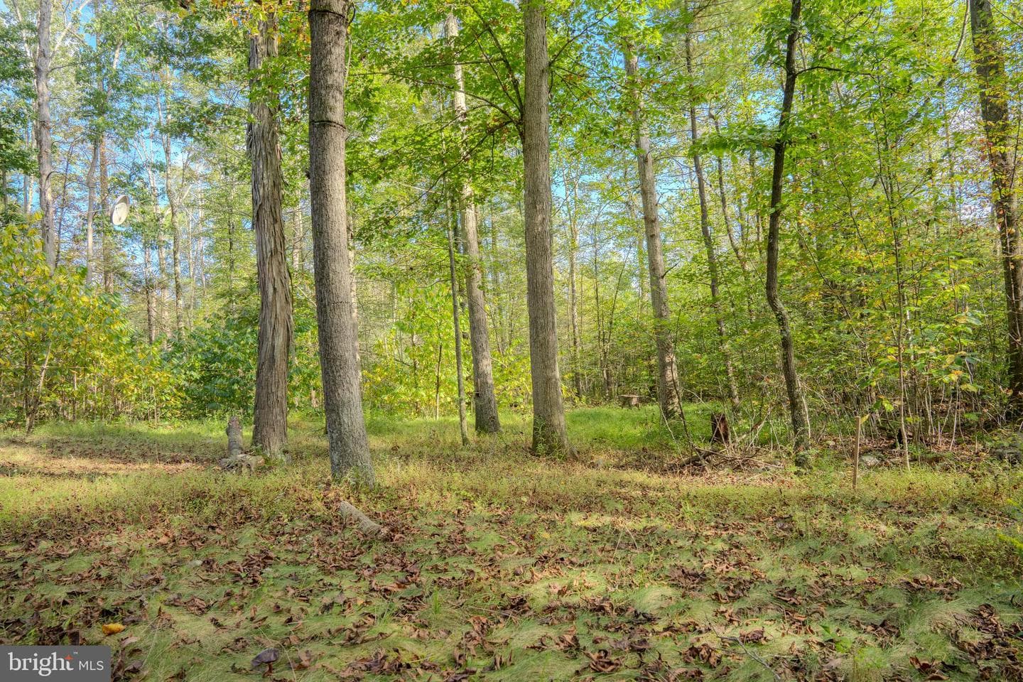 579 Mossy Oak Lane photo 31