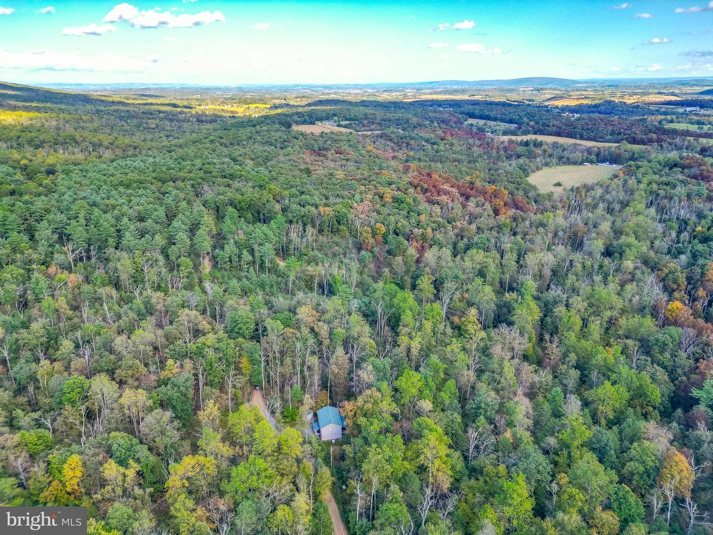 579 Mossy Oak Lane photo 4