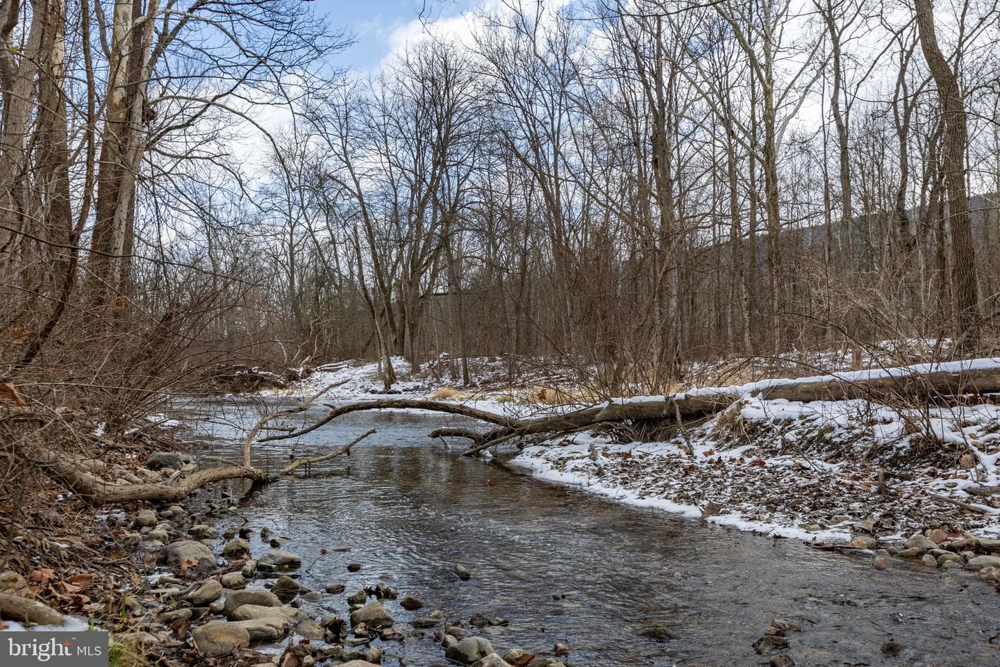 99 Creek Road photo 2