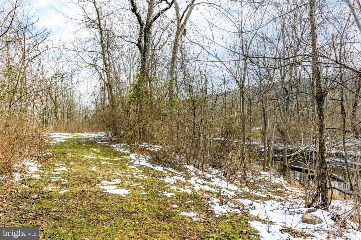 99 Creek Road photo 53