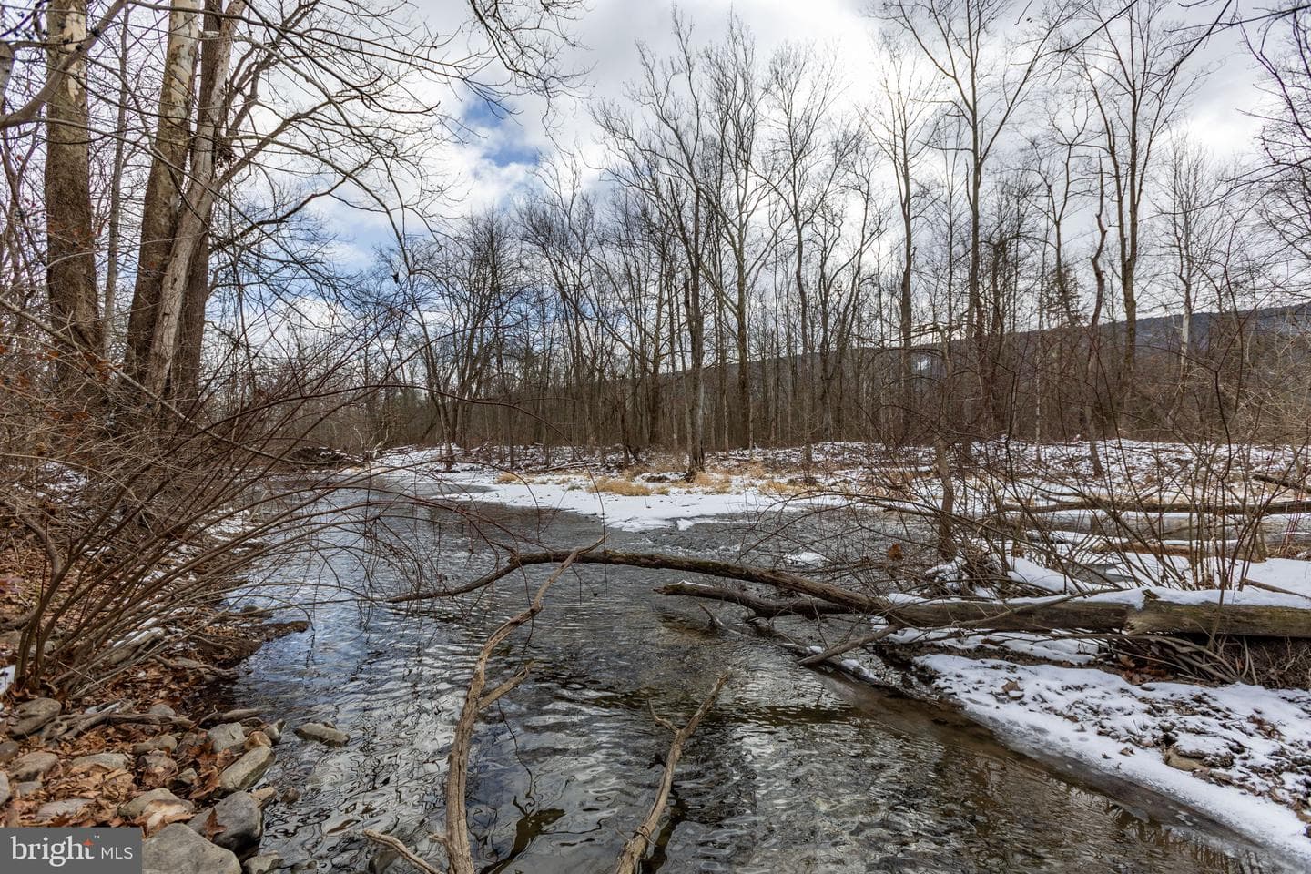 99 Creek Road photo 56