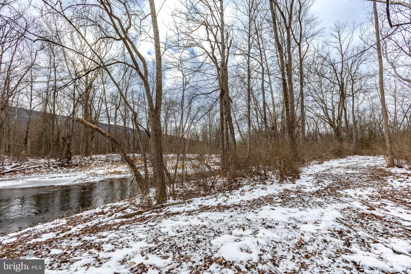 99 Creek Road photo 57
