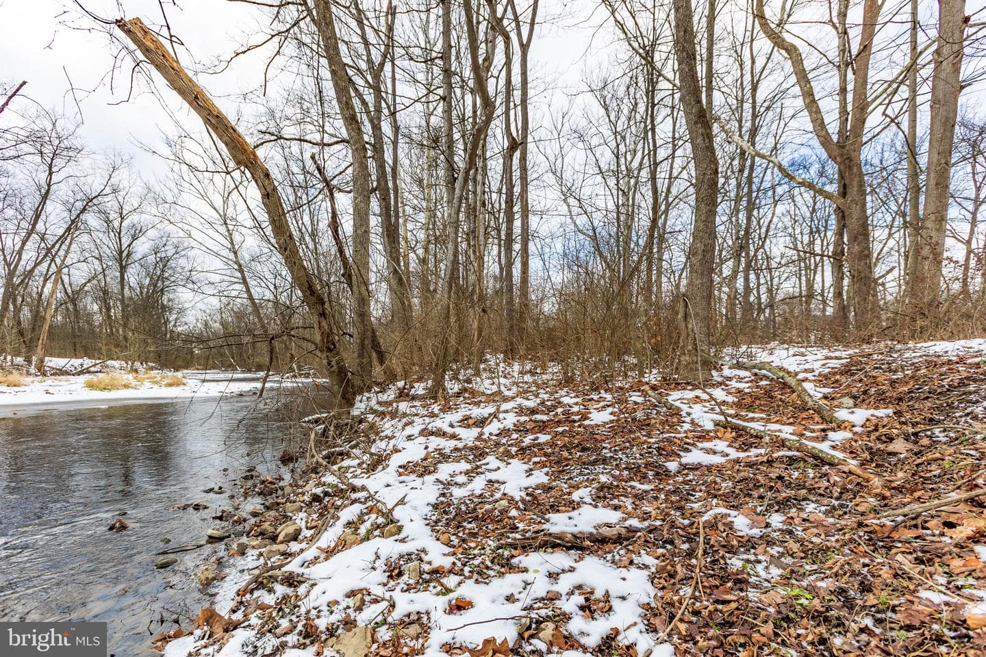 99 Creek Road photo 58