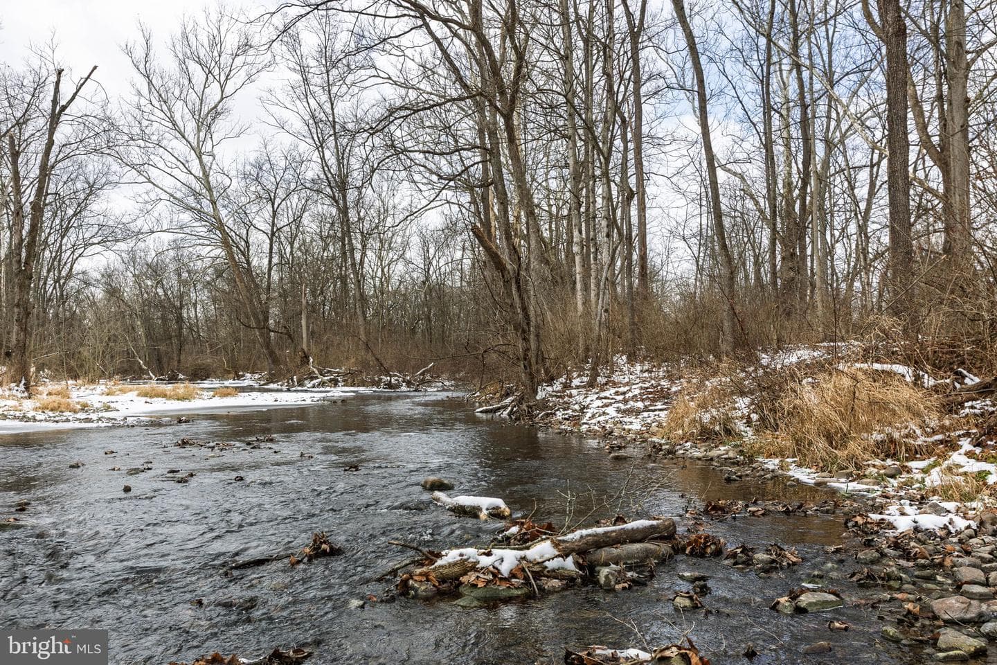 99 Creek Road photo 59