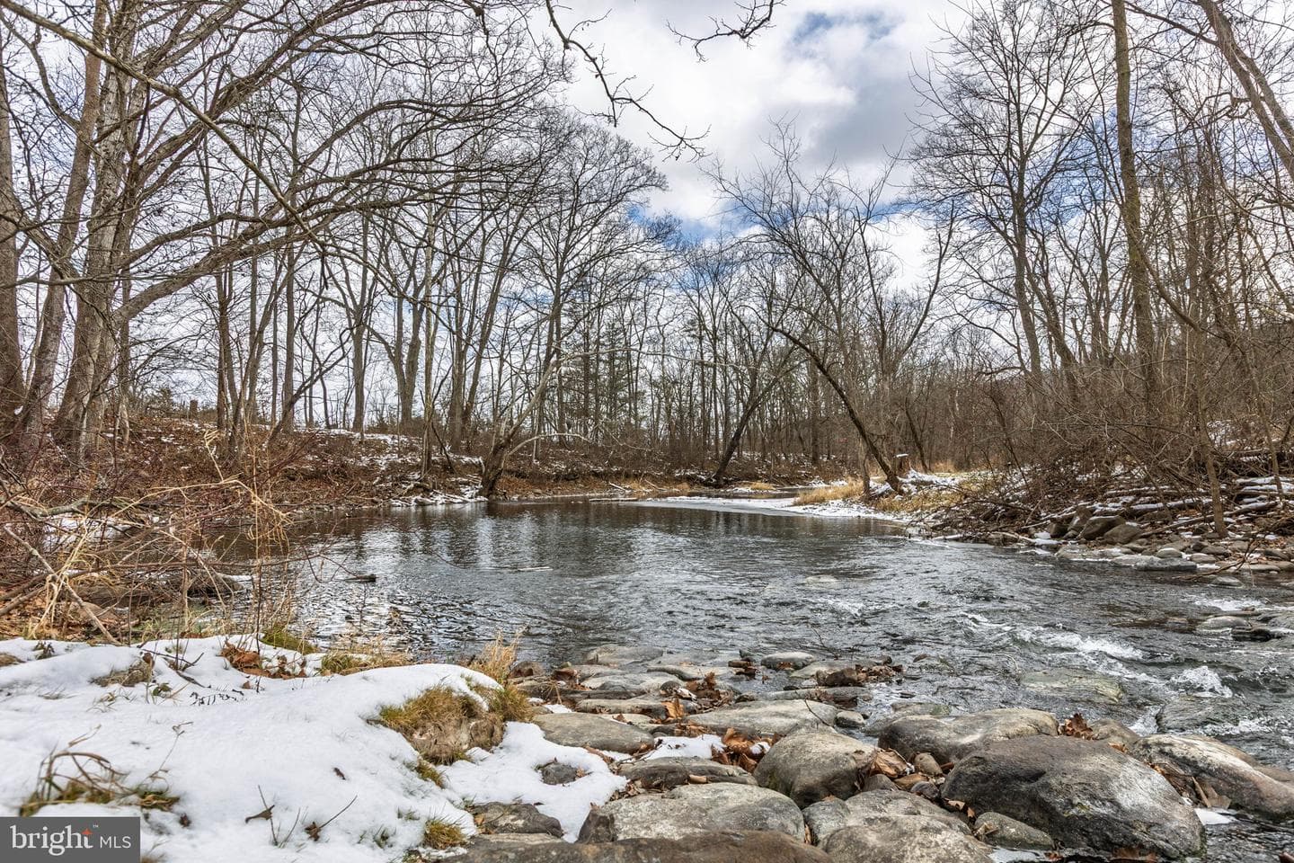 99 Creek Road photo 8