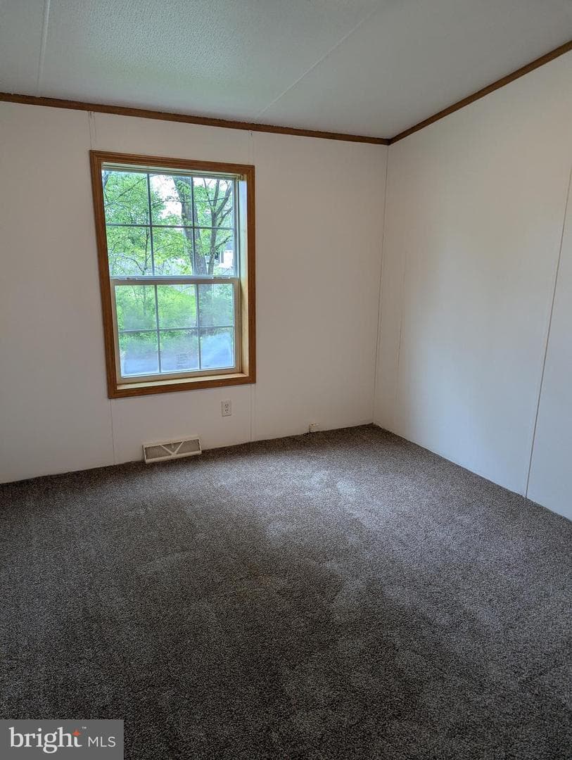 81 Laurel Street photo 6