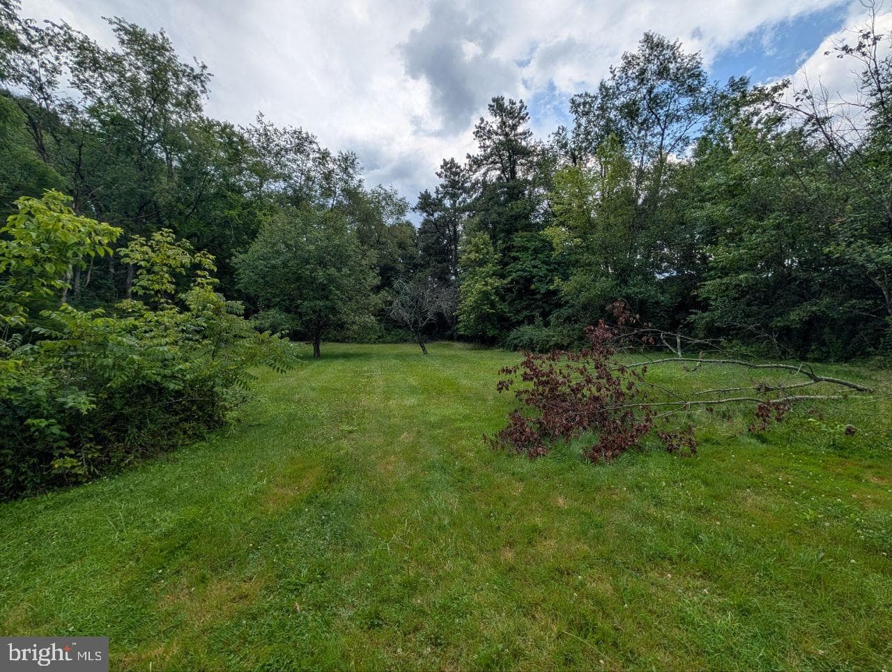 898 Joffre Cherry Valley Road photo 18