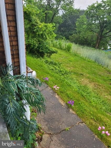 413 Delaware Street photo 16