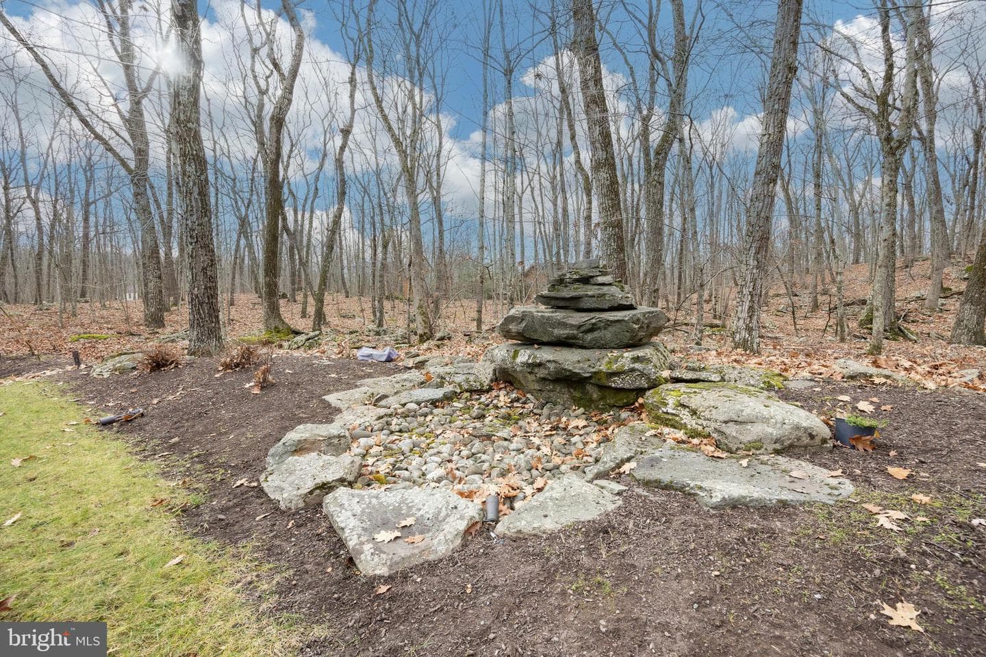 1212 Acacia photo 61