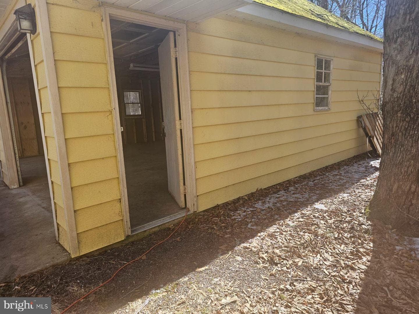20 Yellow Feather Path photo 13