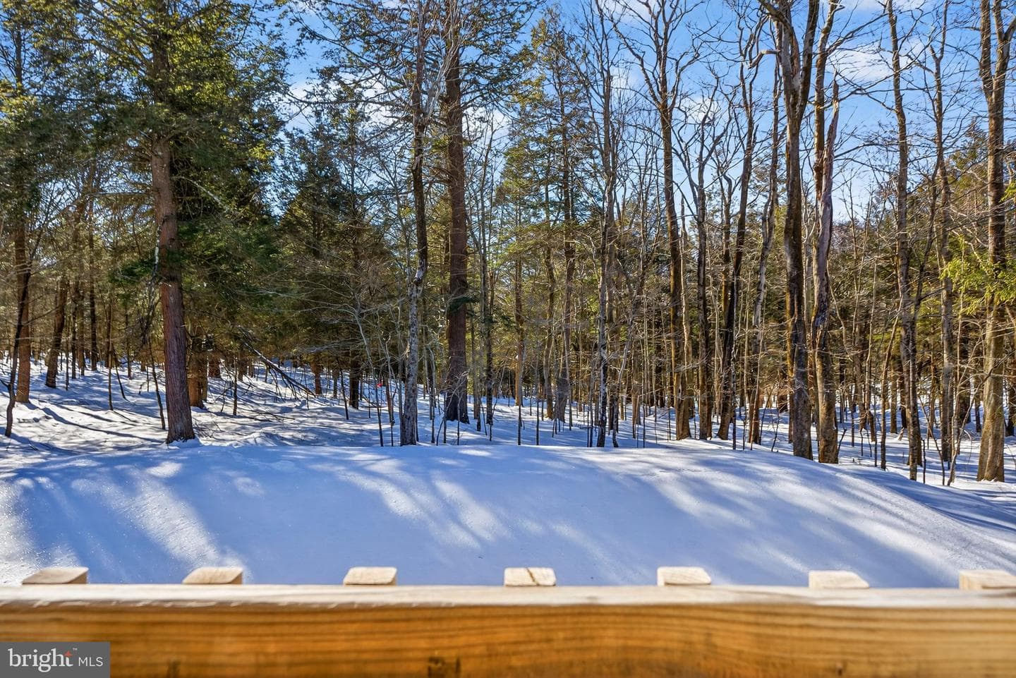 1073 Westside Drive photo 64