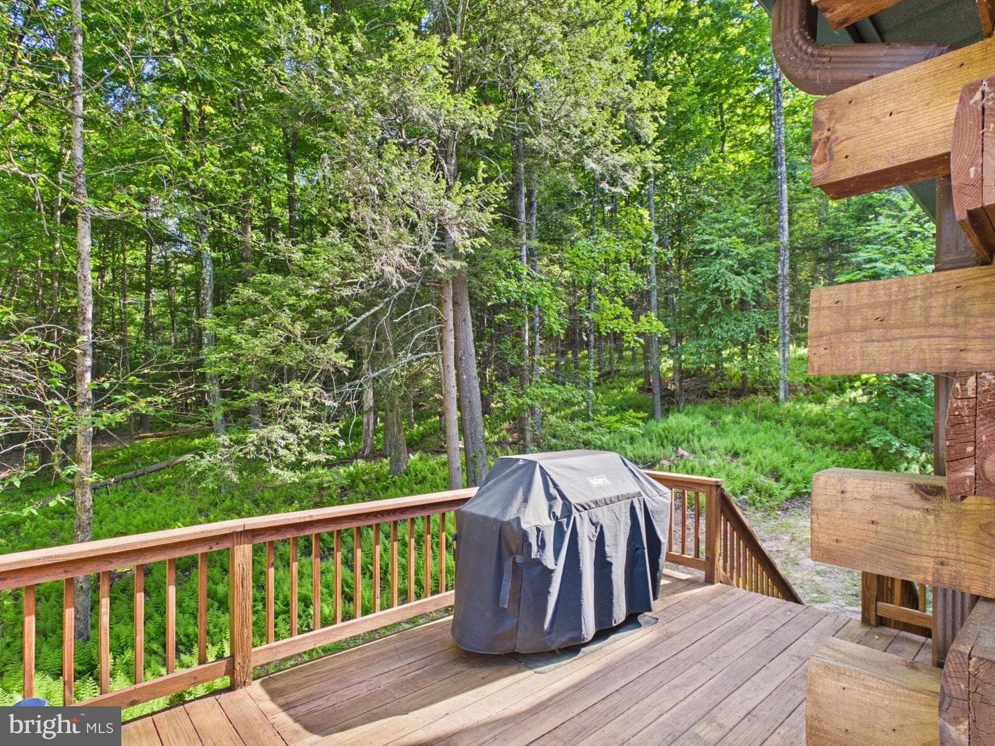 477 Finn Swamp photo 14