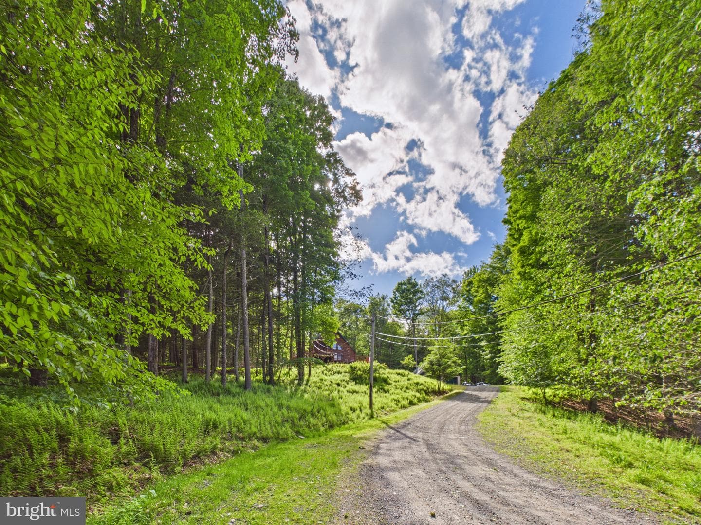 477 Finn Swamp photo 28