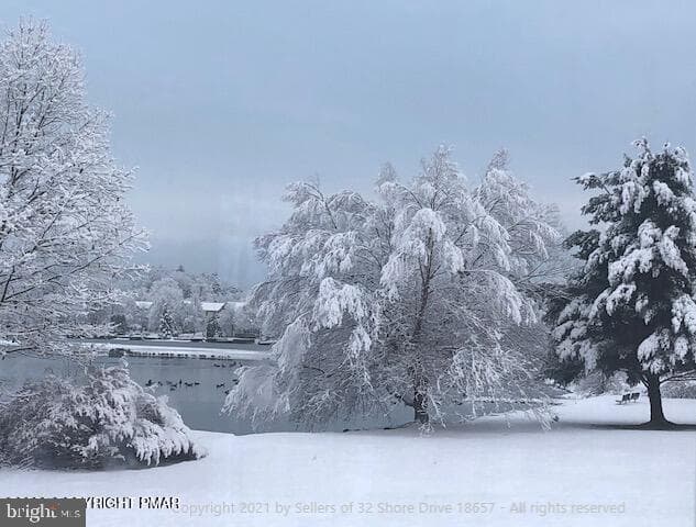 32 Shore Drive photo 29