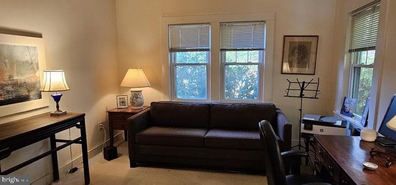 32 Shore Drive photo 18