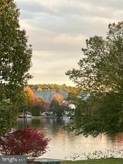 32 Shore Drive photo 35