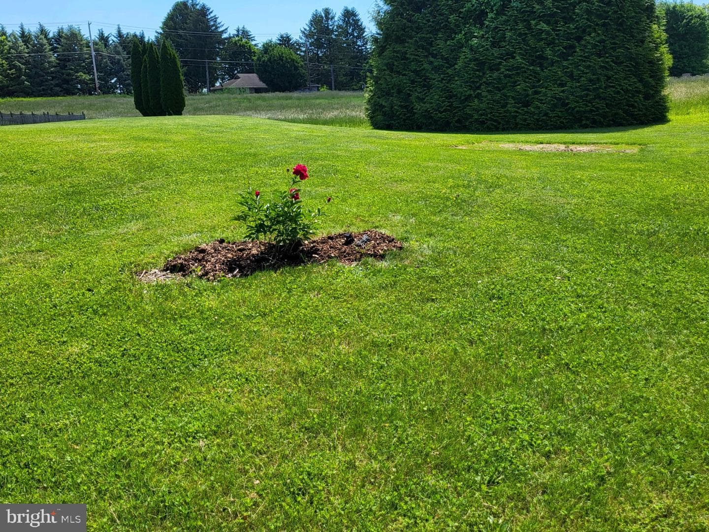 165 Ridgewood Drive photo 3