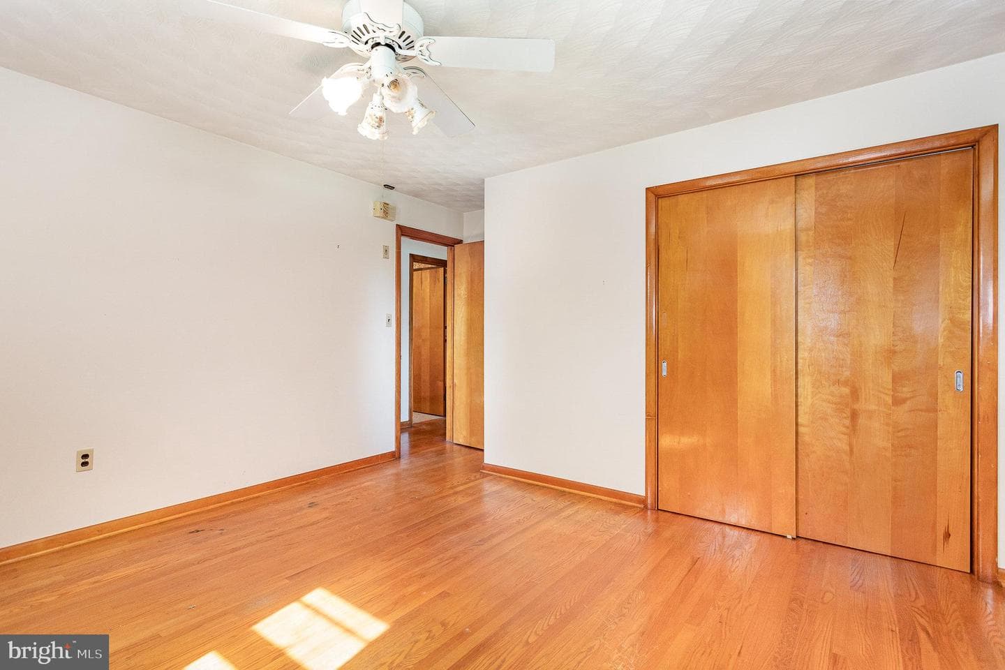3051 Salem Avenue photo 18