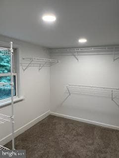 122 Willow Street photo 20
