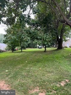122 Willow Street photo 23