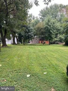 122 Willow Street photo 25