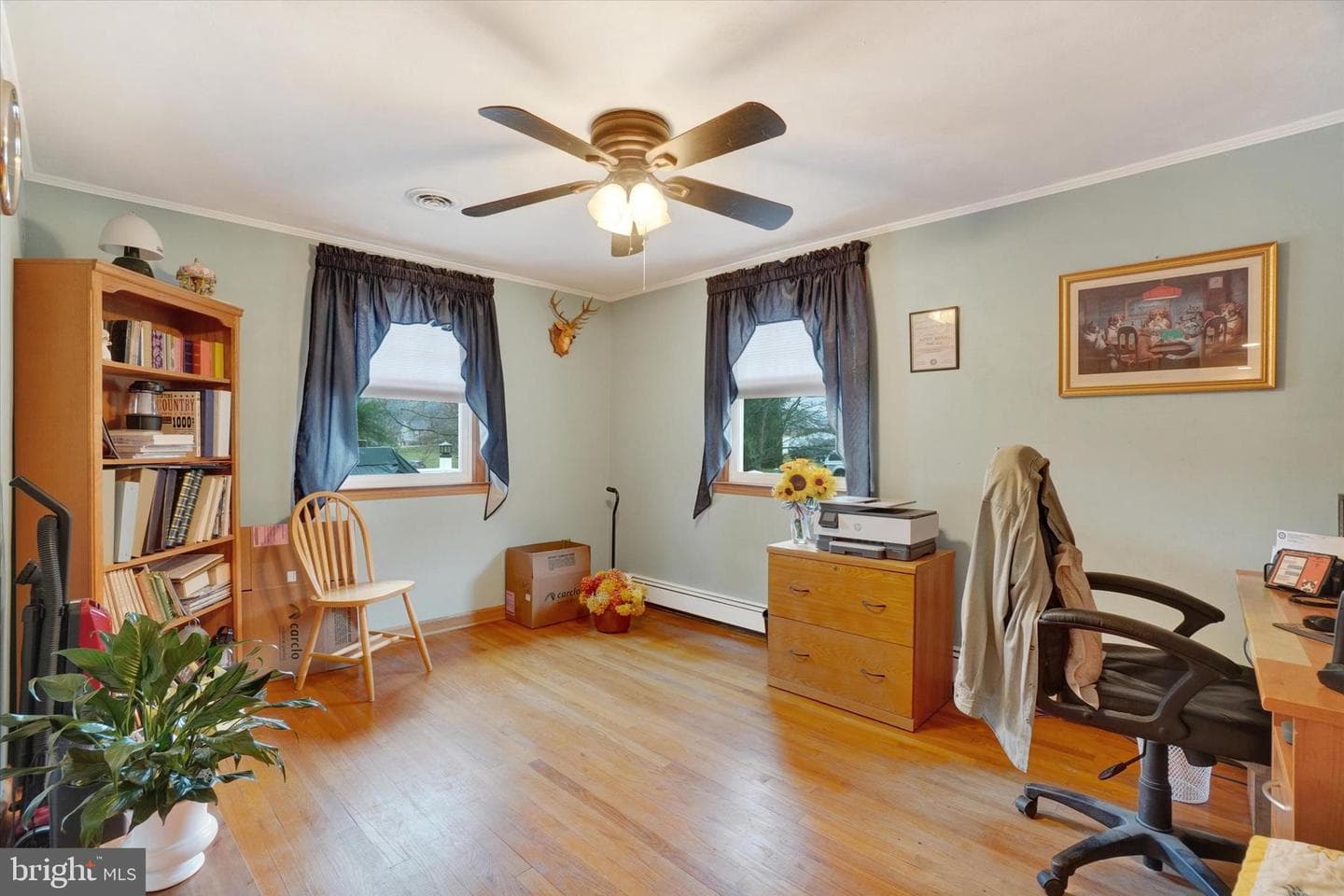 129 Pine Street photo 5