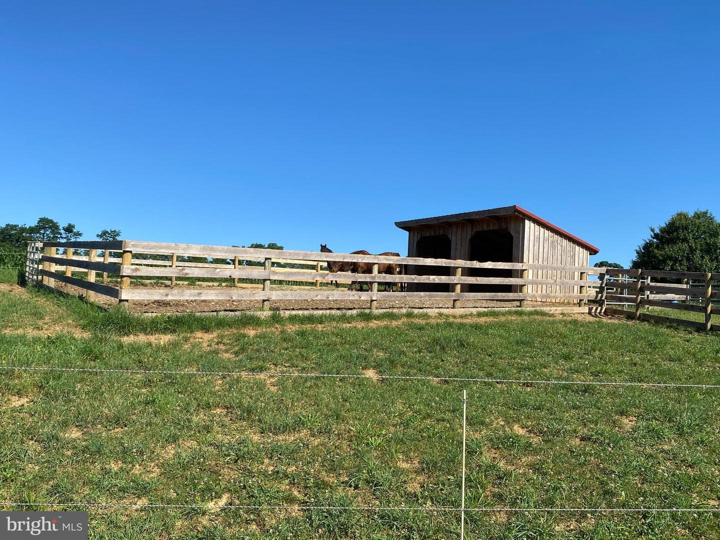 684 Norris Road photo 12