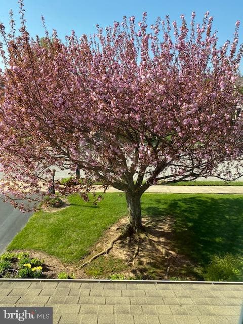 33 Poplar Springs Boulevard photo 41