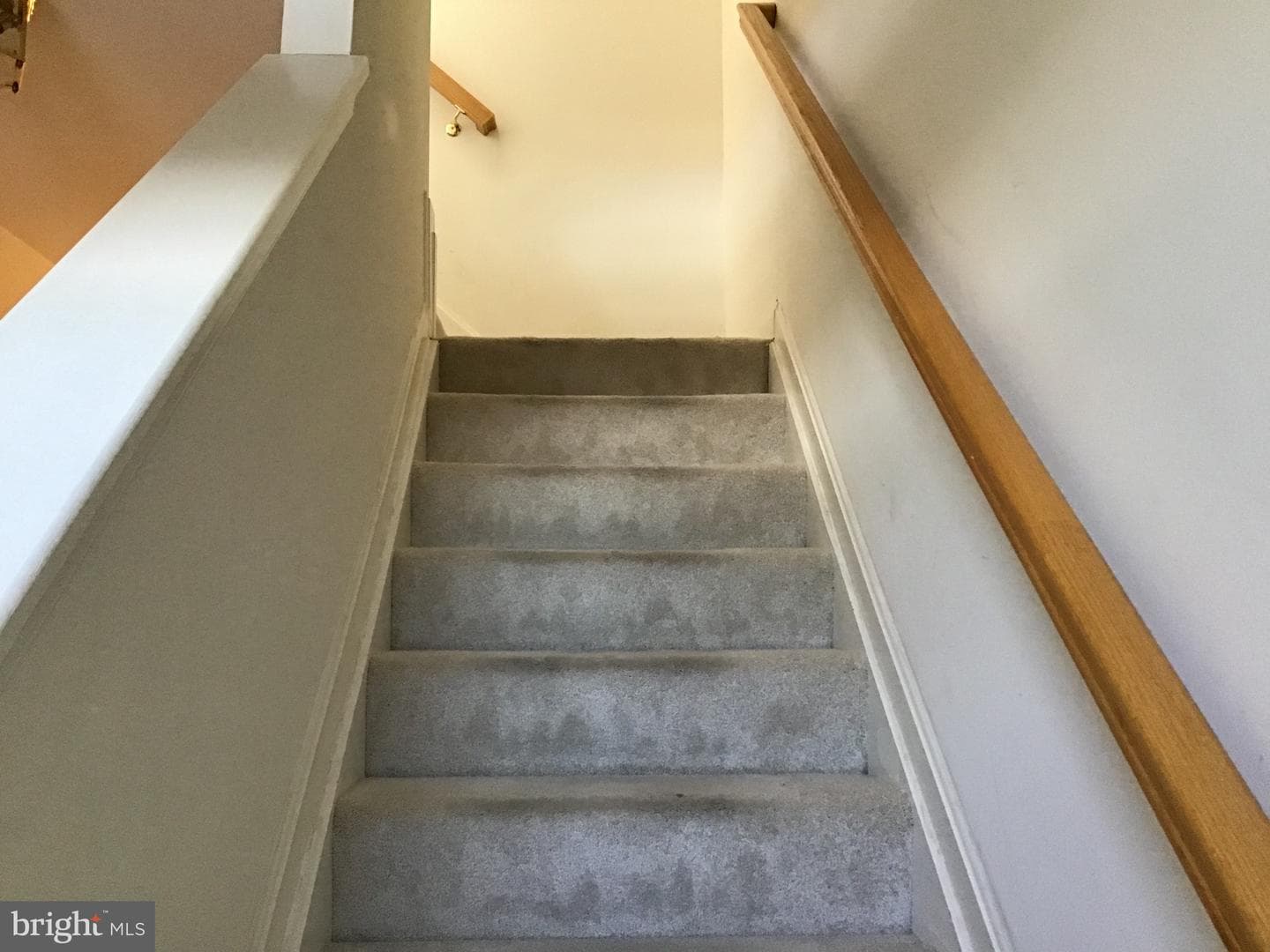 1100 Blue Bird Lane photo 20