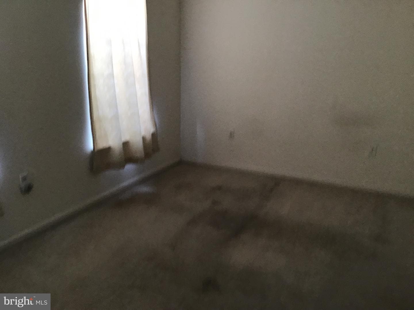 1100 Blue Bird Lane photo 21