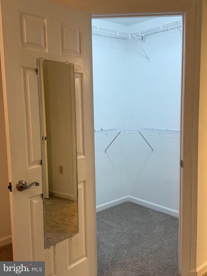 825 Thomas Armor Drive photo 15