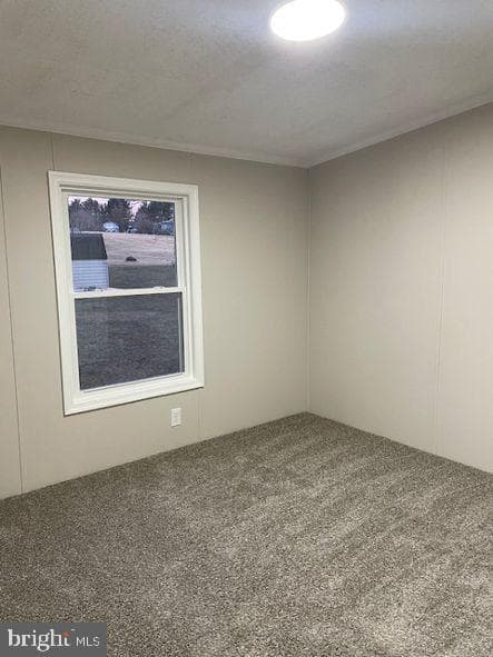 737 Shawna Avenue photo 8