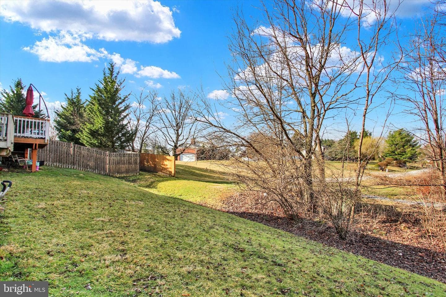 76 Forest View Terrace photo 25