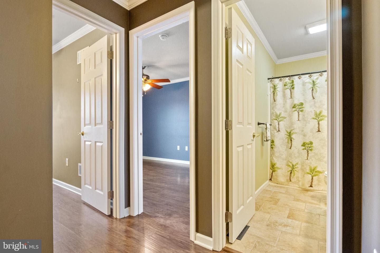 207 Autumn Woods Court photo 14