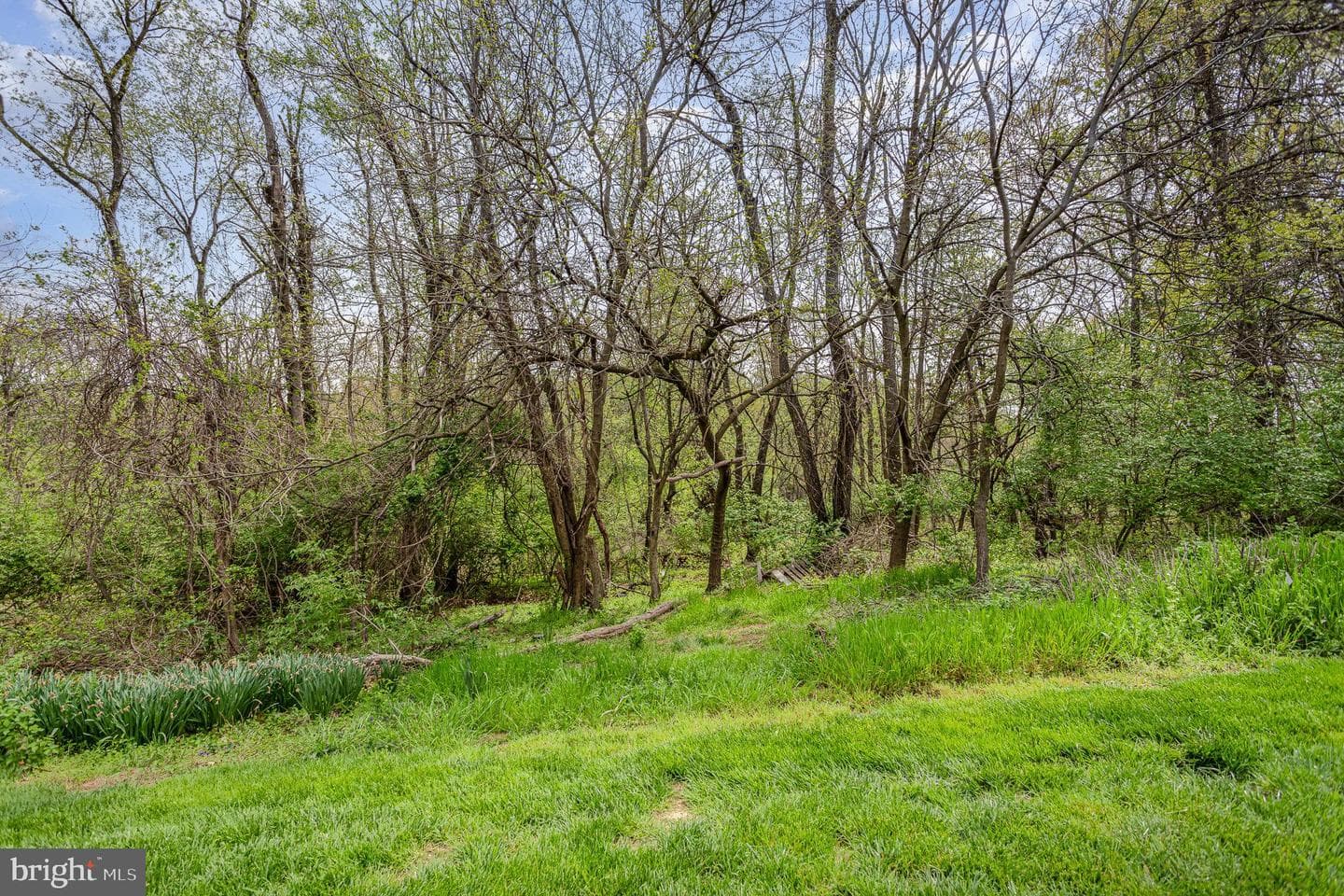 167 Country Ridge Drive photo 30