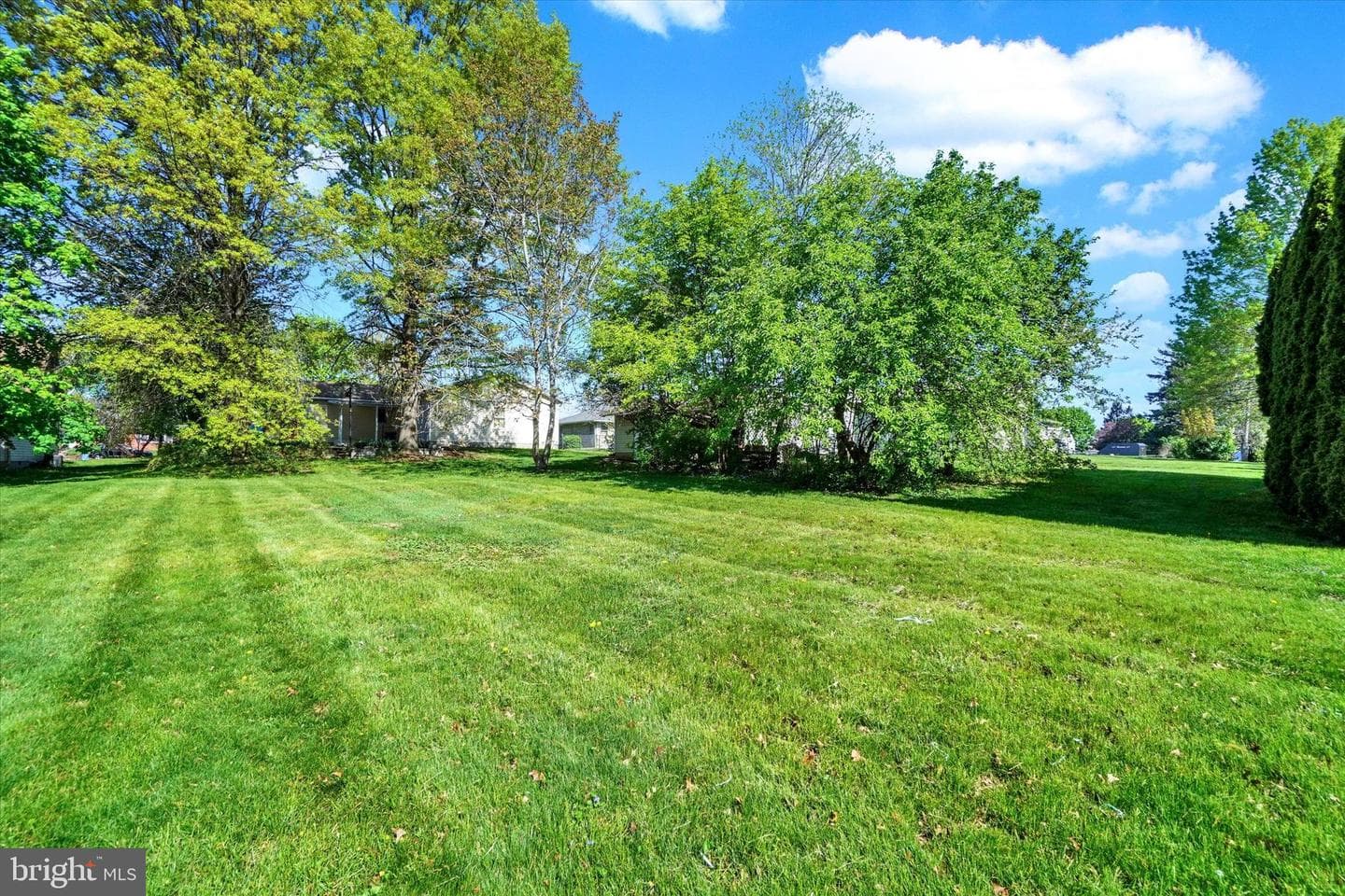 237 Cloverlane Drive photo 24