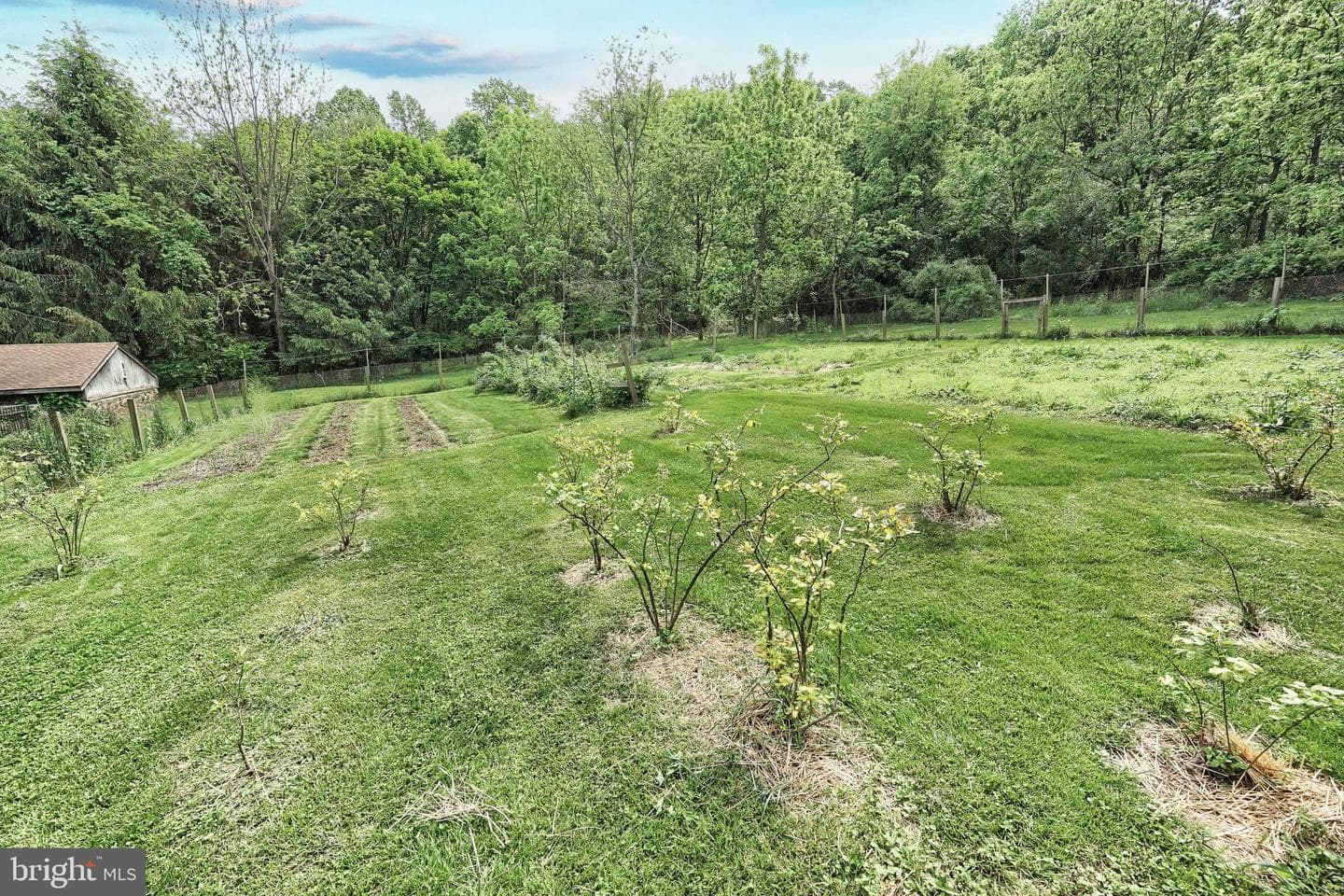 15342 Country Club Road photo 50