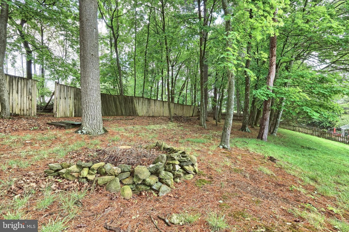 3141 Rexwood Drive photo 18