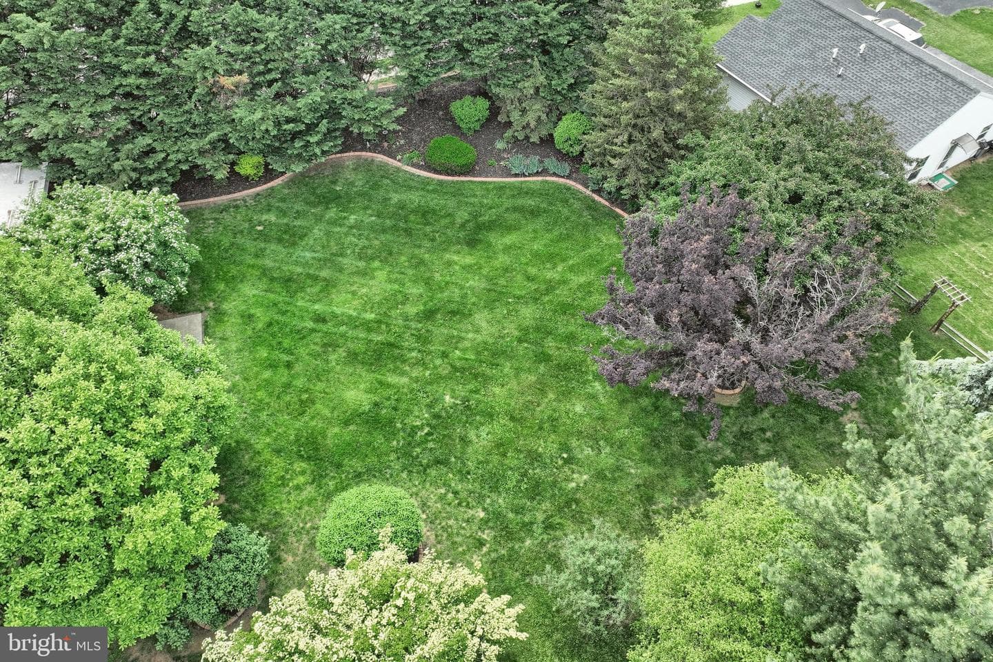 100 West Avenue photo 53