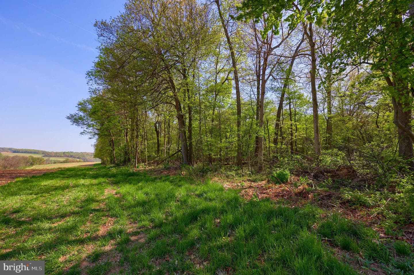 Lot 4 Ridge Road photo 17