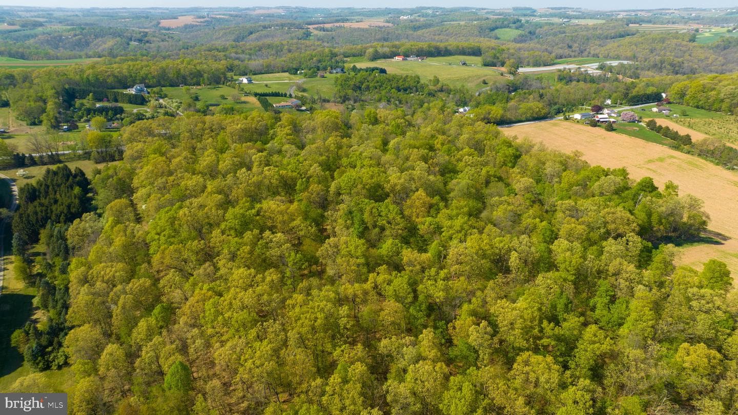 Lot 4 Ridge Road photo 8