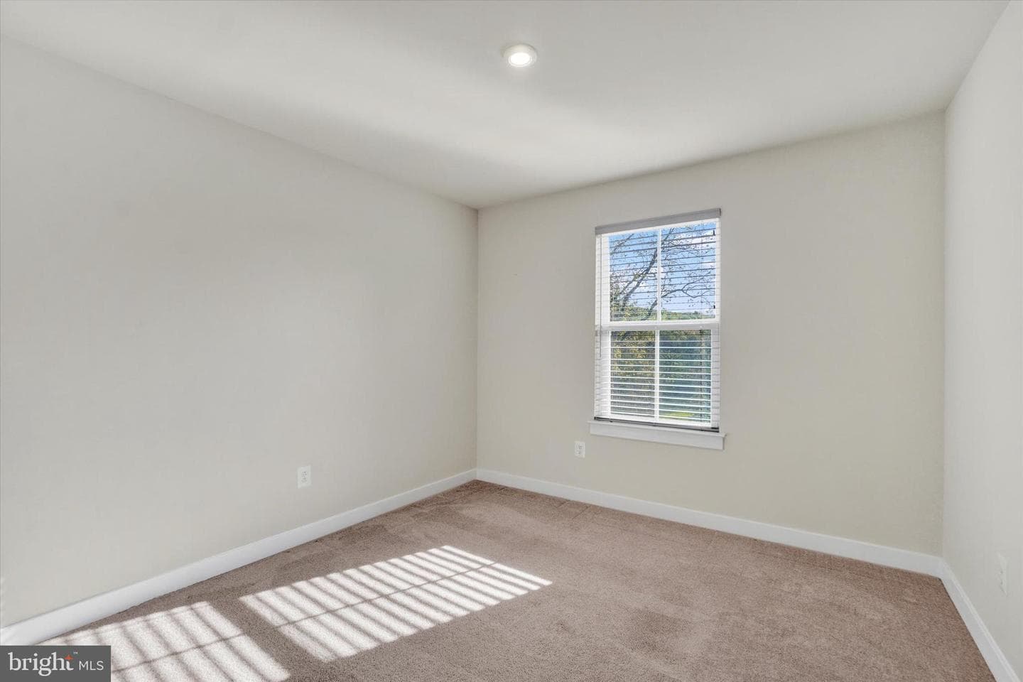 66 Lady Harrington Drive photo 15