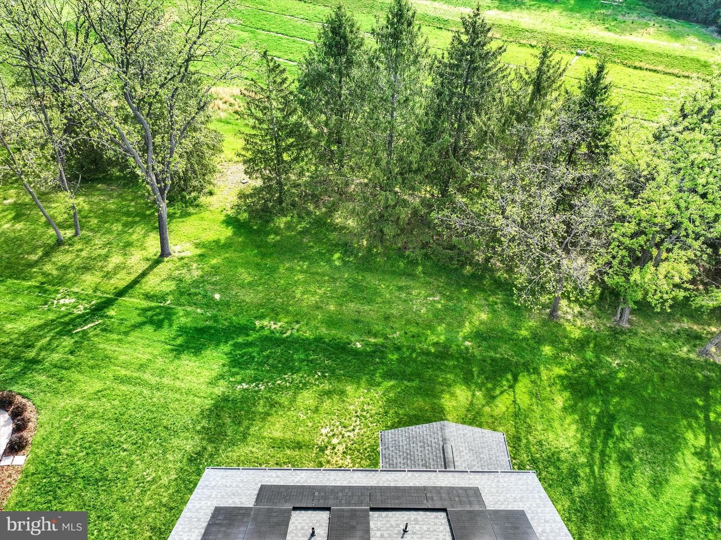 66 Lady Harrington Drive photo 41