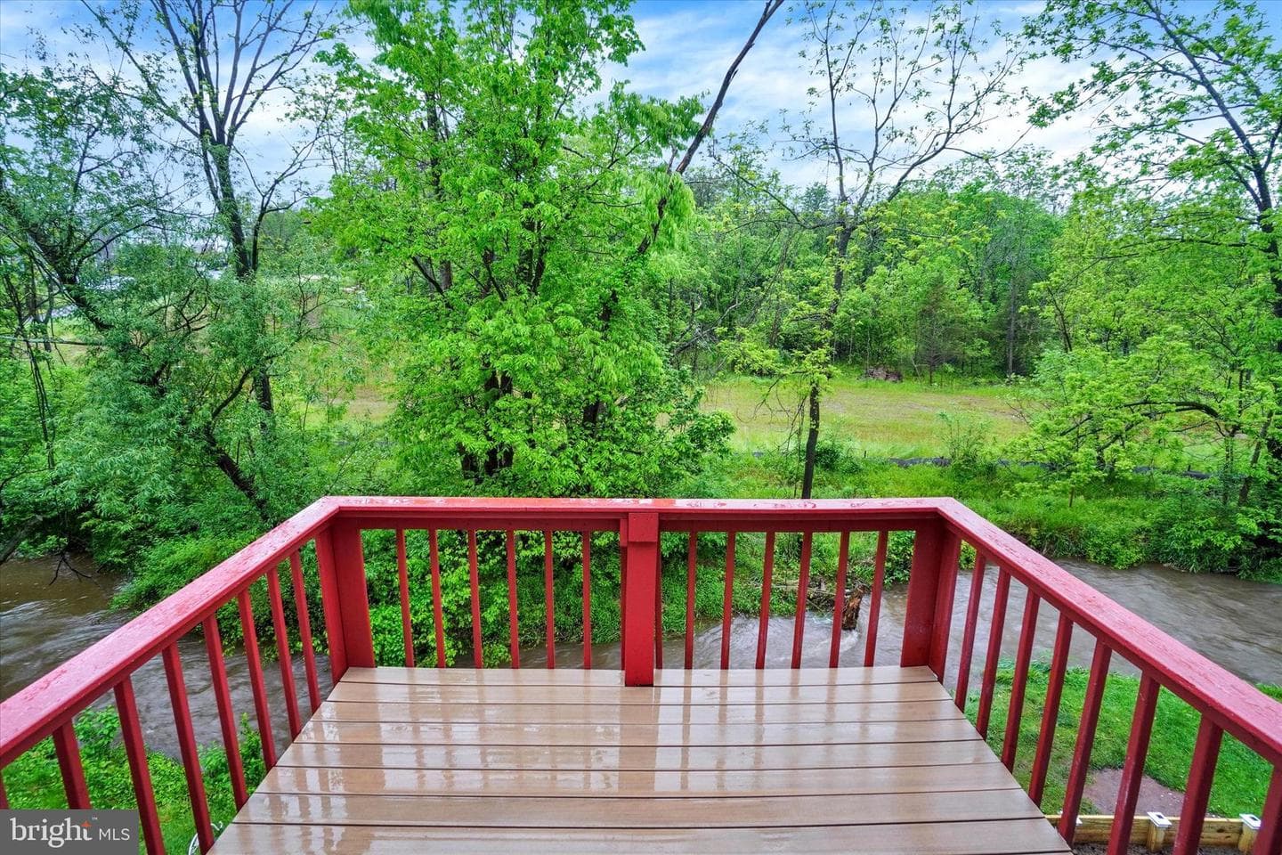 220 White Dogwood Drive photo 18