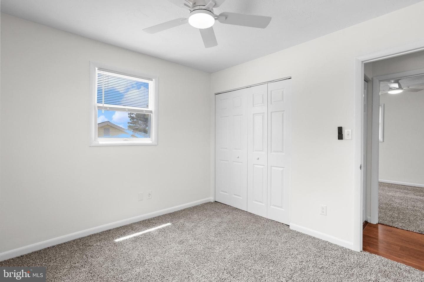 244 Lena Drive photo 19