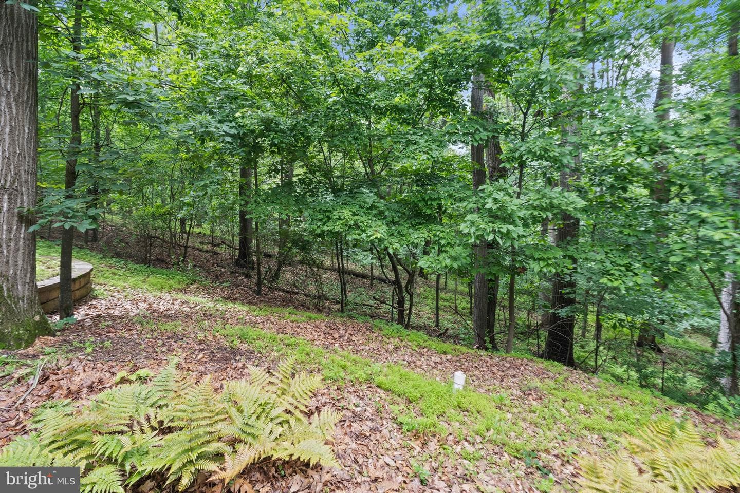3859 Millards Way photo 42
