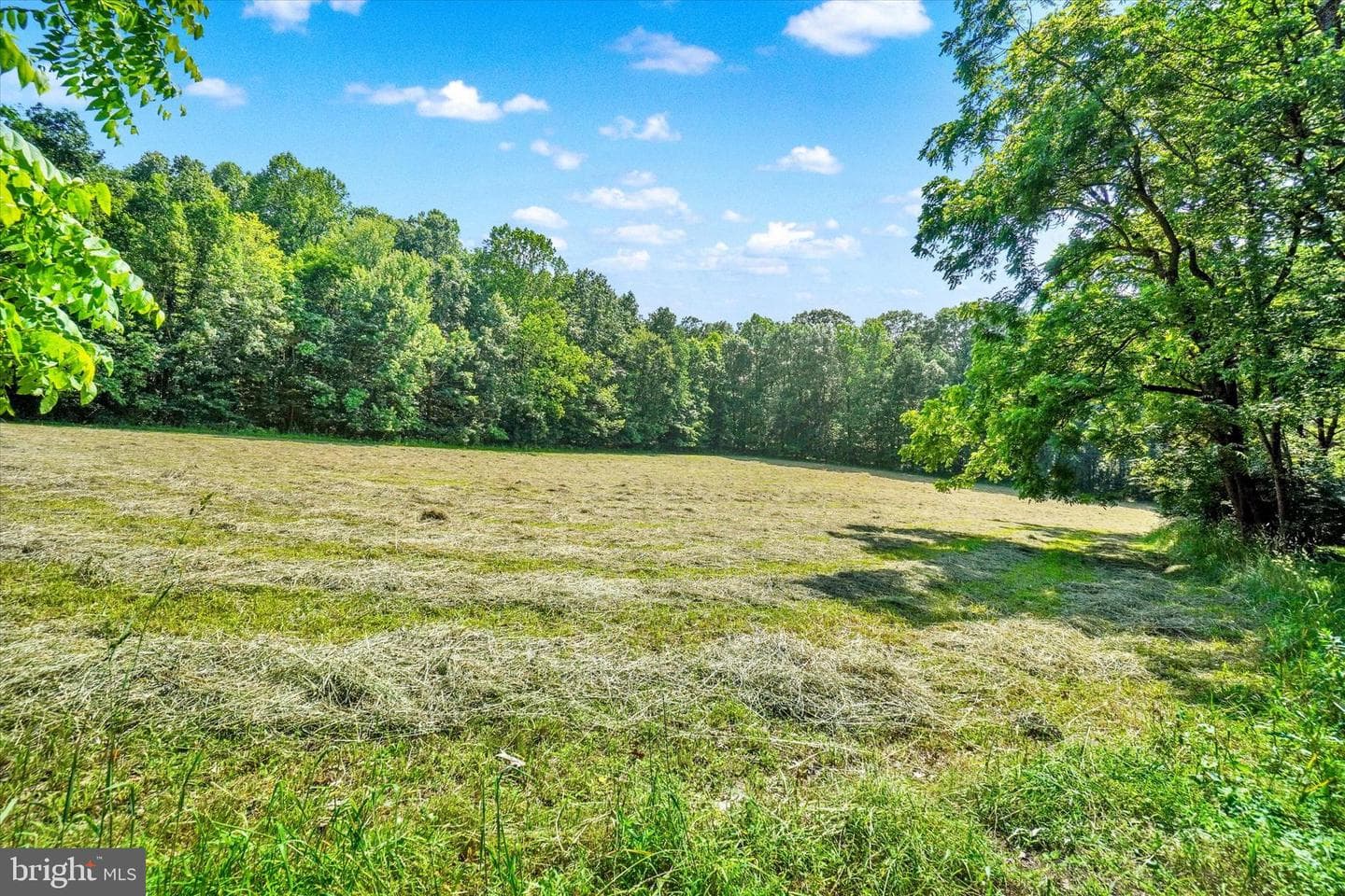 4299 Krebs Road photo 68