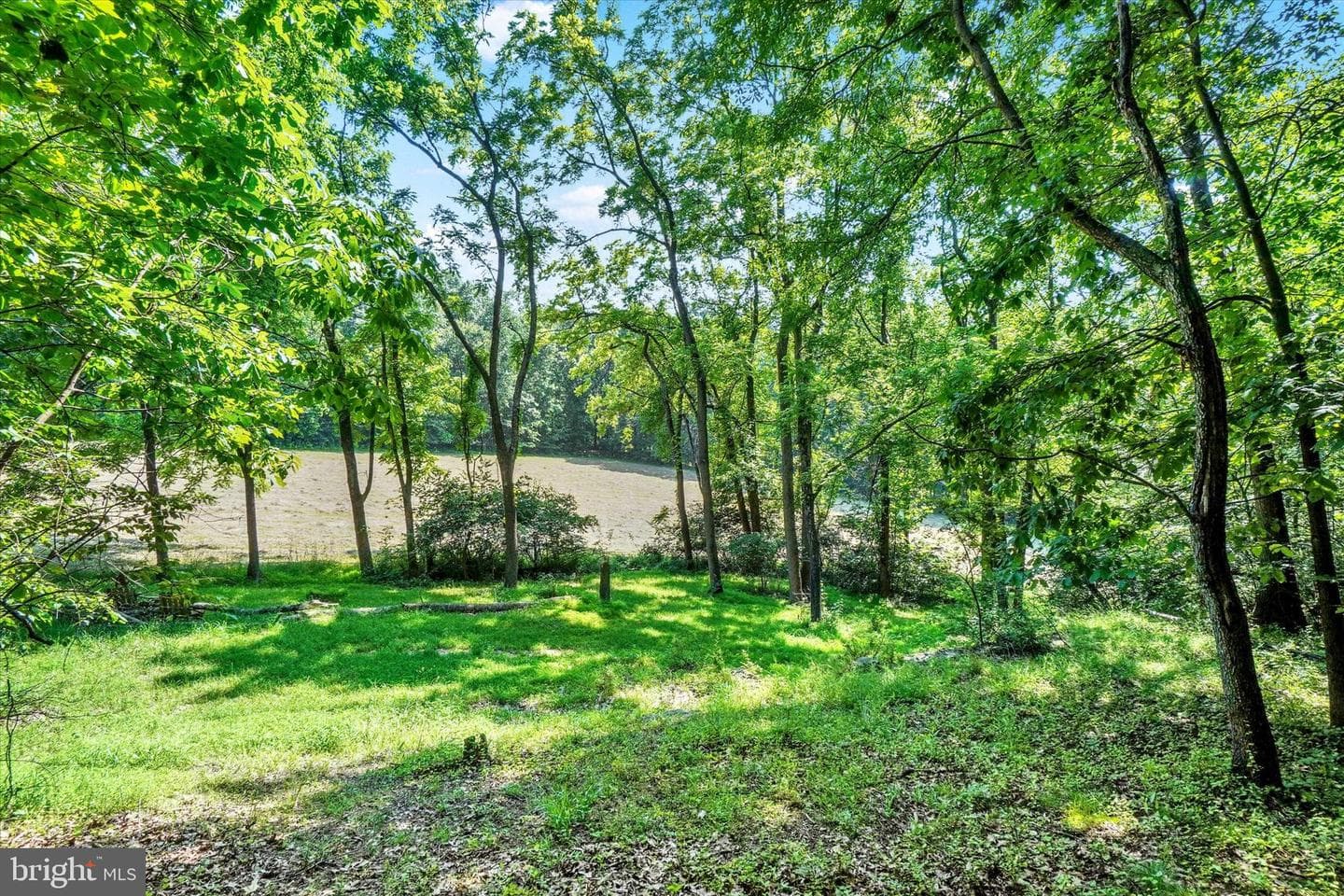 4299 Krebs Road photo 70