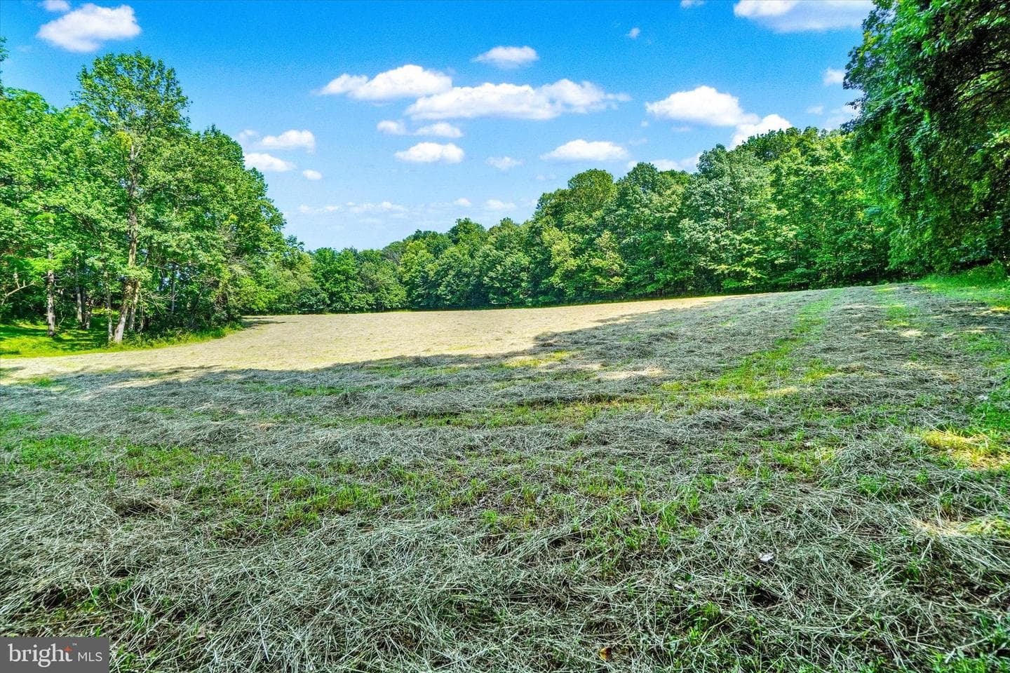 4299 Krebs Road photo 71